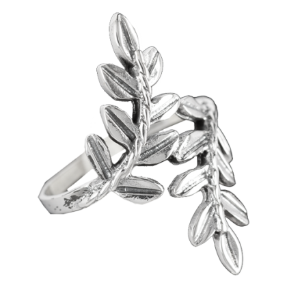 anillos