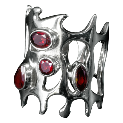 anillos