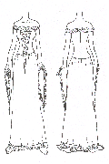 disenno7